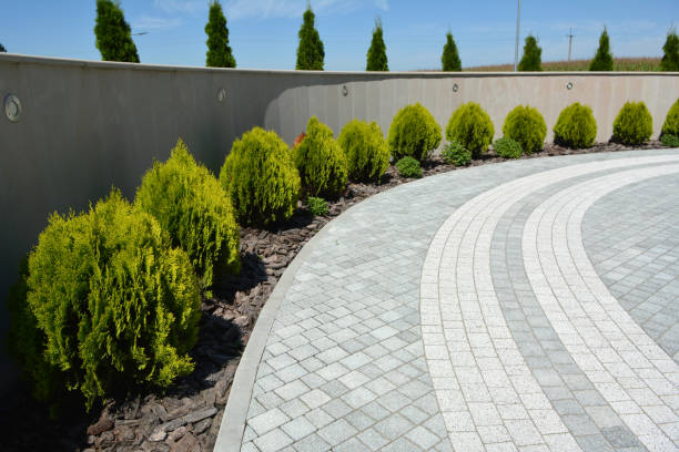 Best Local Driveway Pavers  in Sitka, AK